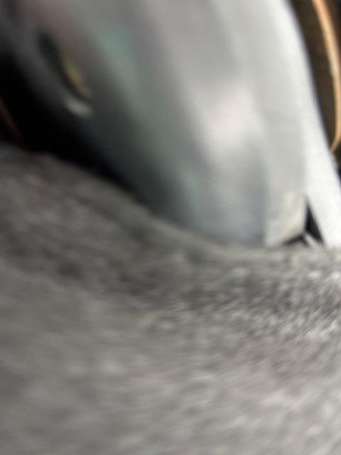 2008 Mitsubishi Outlander Platinum Edition ZG MY09 4X4 On Demand Black Mica