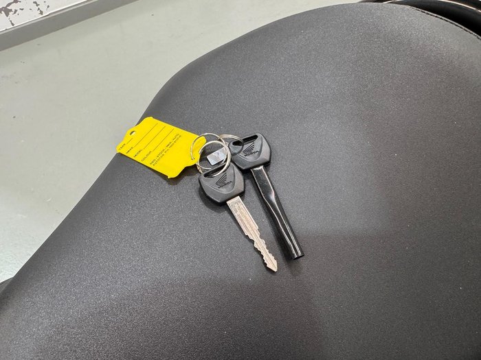 2022 Honda CMX500 CMX Grey