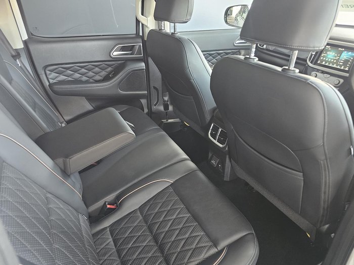 2020 GWM Ute Cannon-X