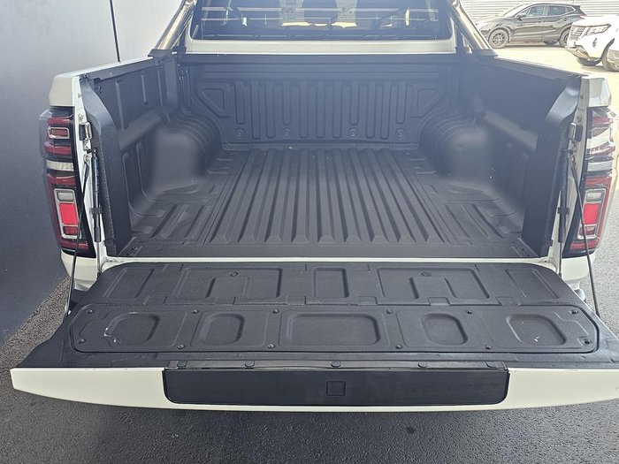 2020 GWM Ute Cannon-X