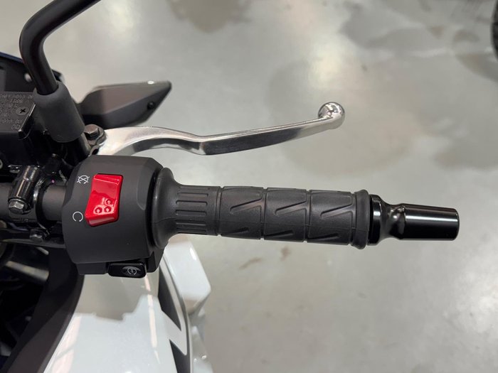 2025 Kawasaki Versys-X 300 (KLE300C) Versys Blue