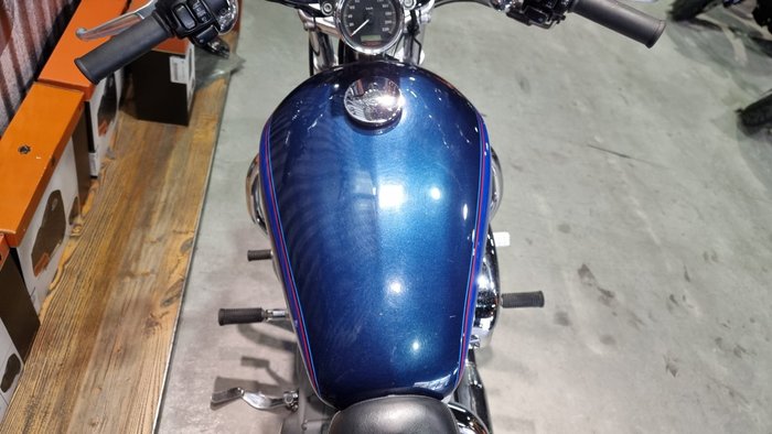 2004 Harley-davidson XL883C SPORTSTER CUSTOM Blue