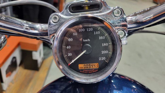 2004 Harley-davidson XL883C SPORTSTER CUSTOM Blue