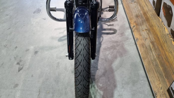 2004 Harley-davidson XL883C SPORTSTER CUSTOM Blue