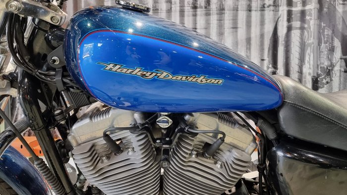 2004 Harley-davidson XL883C SPORTSTER CUSTOM Blue