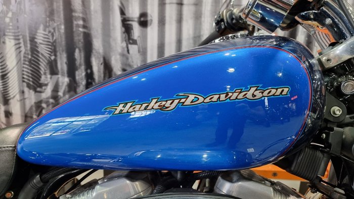 2004 Harley-davidson XL883C SPORTSTER CUSTOM Blue