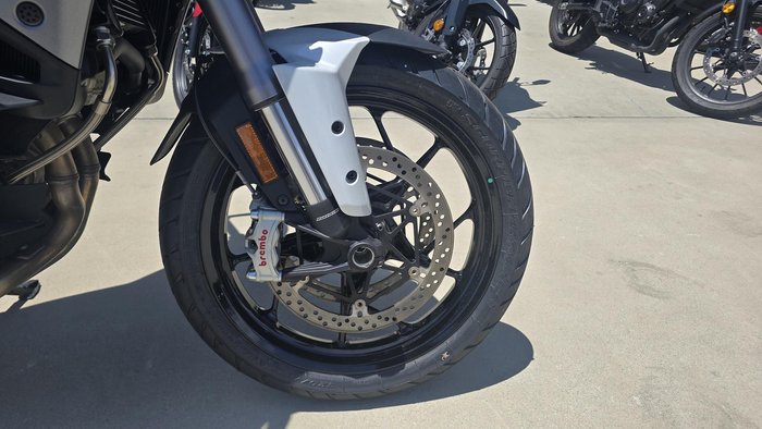 2025 Ducati Multistrada V4S Multistrada White