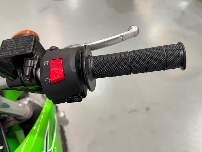 2024 Kawasaki KLX230 S KLX Green