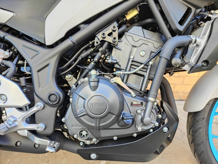 2025 YAMAHA MT-03 ABS 321 (MT03LA) ROAD ICE STORM