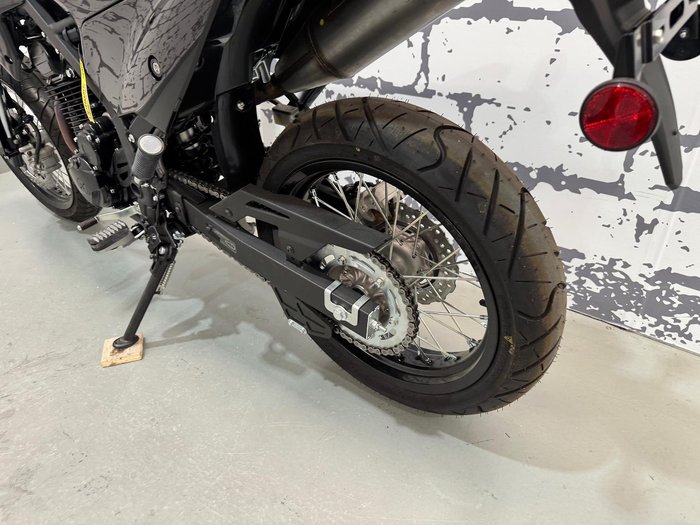 2024 Kawasaki KLX230SM KLX Green