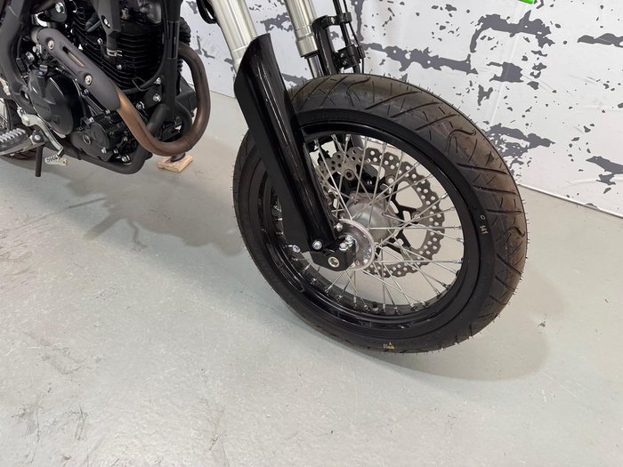 2024 Kawasaki KLX230SM KLX Green