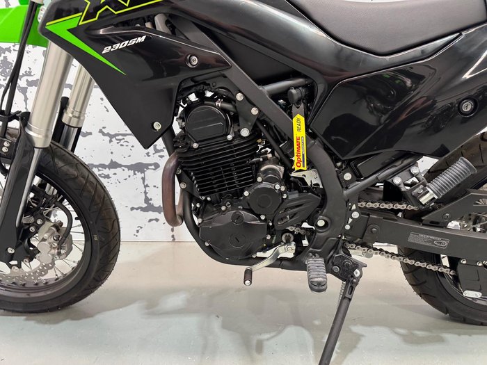 2024 Kawasaki KLX230SM KLX Green