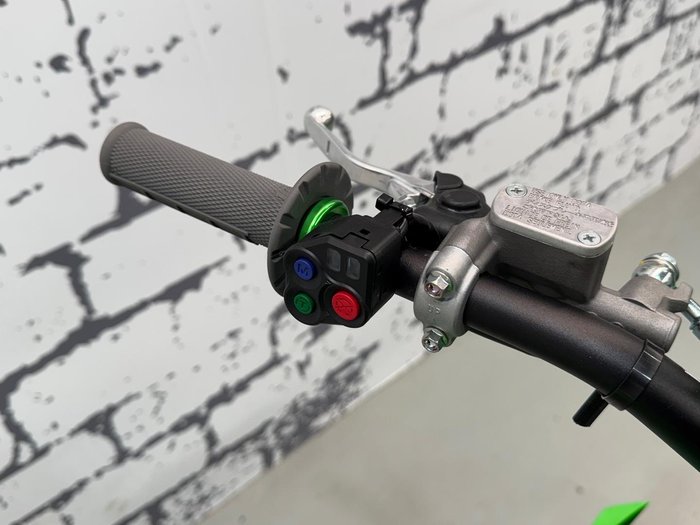 2025 Kawasaki KX250 (KX250A) KX Green