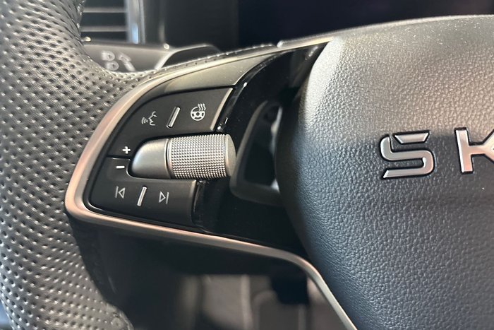 2025 SKODA Karoq 110TSI 130 Years Edition