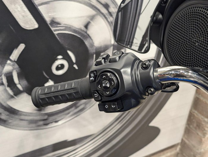 2025 Harley-Davidson Street Glide 117 (FLHX) Touring Blue