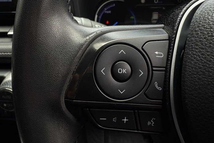 2019 Toyota RAV4 Cruiser