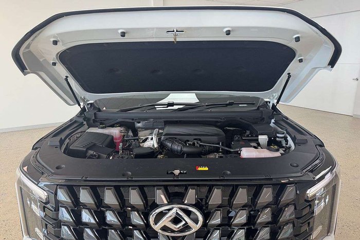 2025 LDV Terron 9 Origin