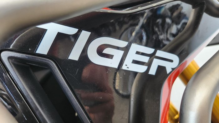 2024 Triumph Tiger 900 Rally Pro Tiger Grey