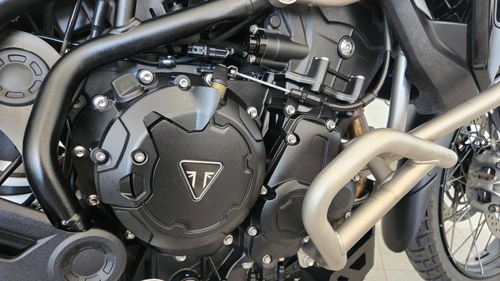 2024 Triumph Tiger 900 Rally Pro Tiger Grey