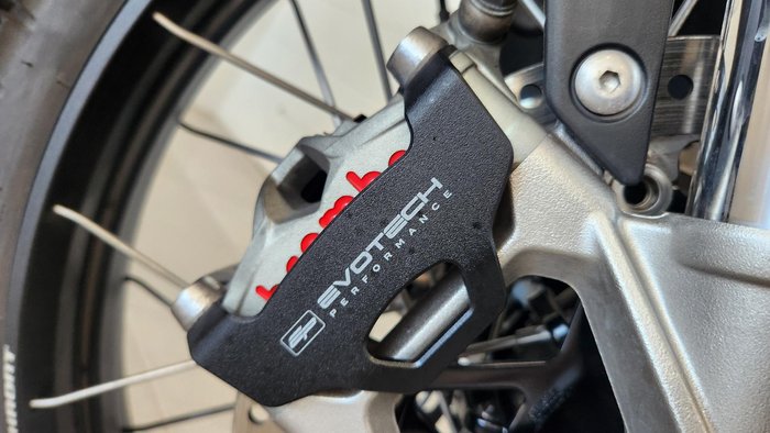 2024 Triumph Tiger 900 Rally Pro Tiger Grey