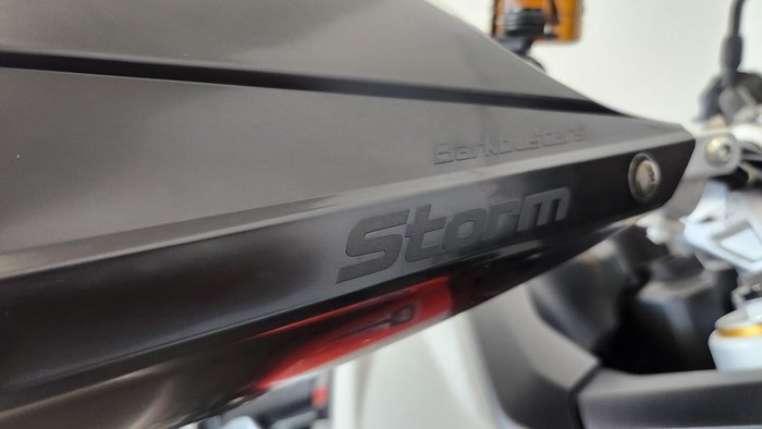 2024 Triumph Tiger 900 Rally Pro Tiger Grey