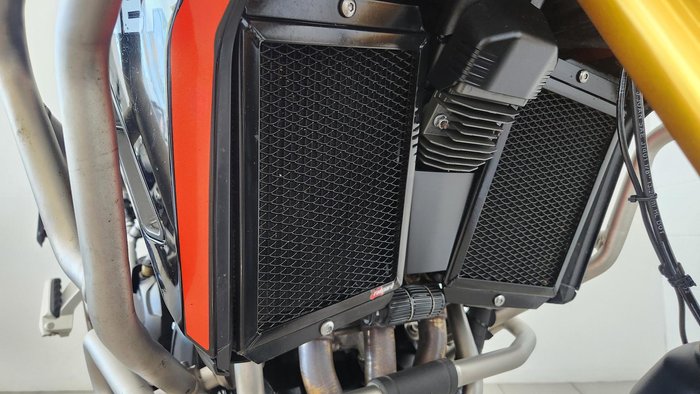 2024 Triumph Tiger 900 Rally Pro Tiger Grey