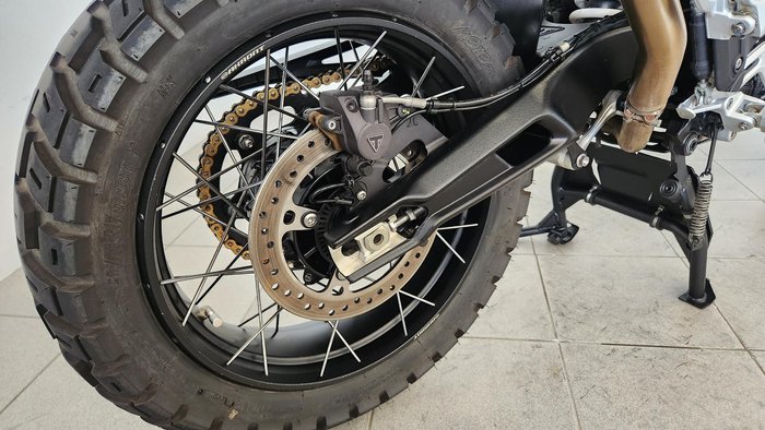 2024 Triumph Tiger 900 Rally Pro Tiger Grey