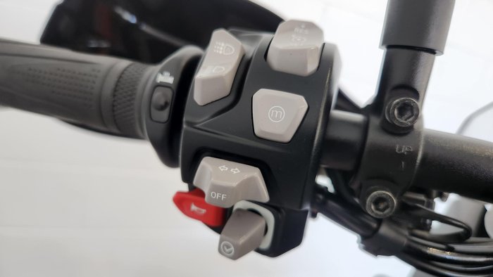 2024 Triumph Tiger 900 Rally Pro Tiger Grey