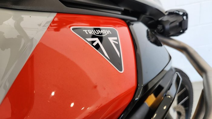 2024 Triumph Tiger 900 Rally Pro Tiger Grey