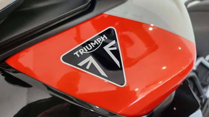 2024 Triumph Tiger 900 Rally Pro Tiger Grey