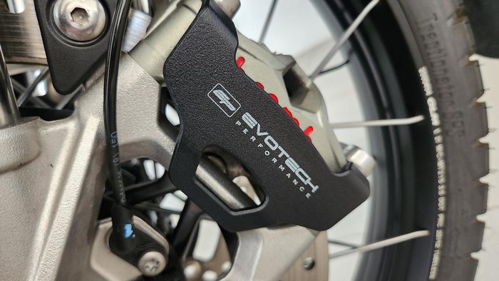 2024 Triumph Tiger 900 Rally Pro Tiger Grey