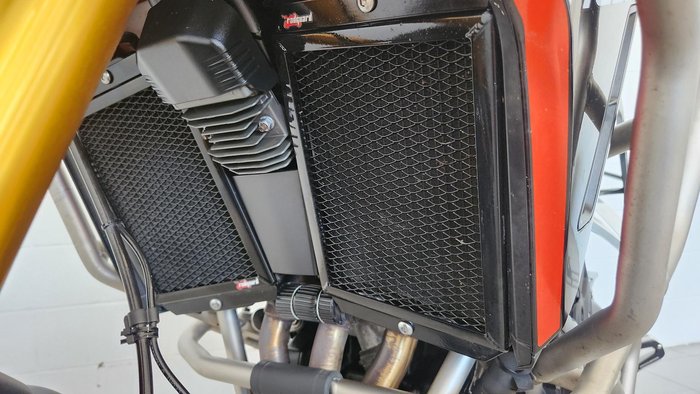 2024 Triumph Tiger 900 Rally Pro Tiger Grey