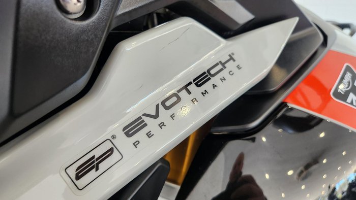 2024 Triumph Tiger 900 Rally Pro Tiger Grey