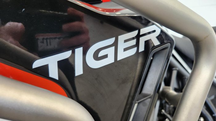 2024 Triumph Tiger 900 Rally Pro Tiger Grey