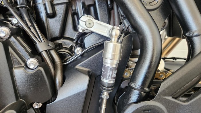 2024 Triumph Tiger 900 Rally Pro Tiger Grey