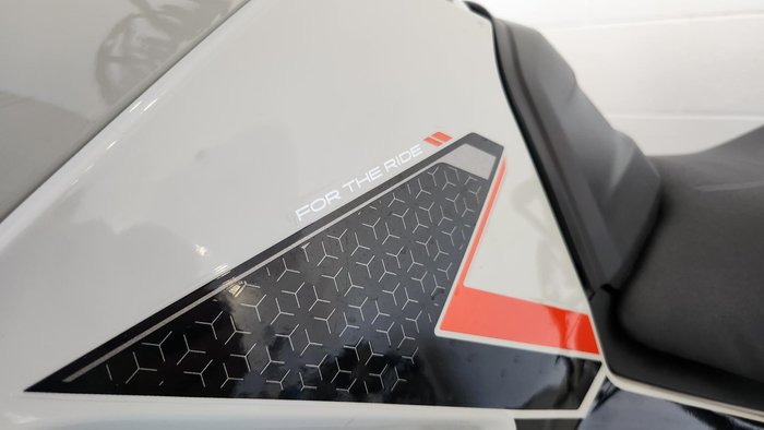 2024 Triumph Tiger 900 Rally Pro Tiger Grey