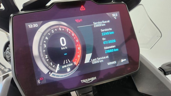 2024 Triumph Tiger 900 Rally Pro Tiger Grey