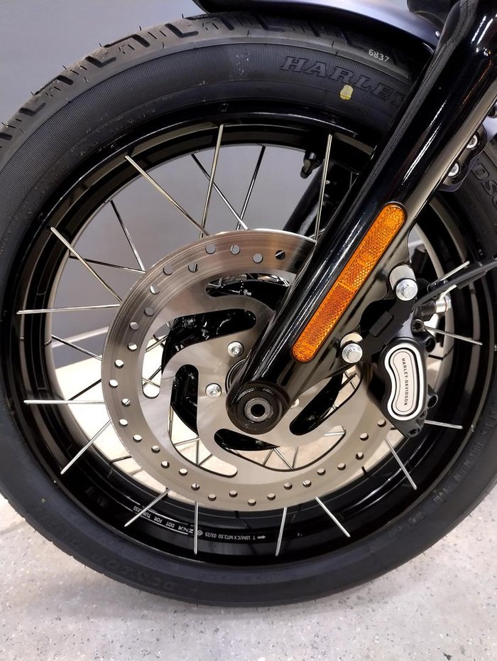 2025 Harley-Davidson Street Bob 117 (FXBB) Softail Purple