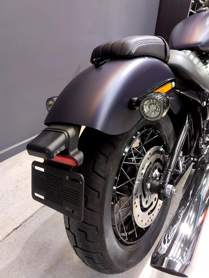 2025 Harley-Davidson Street Bob 117 (FXBB) Softail Purple