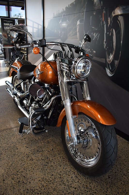 2014 Harley-davidson FLSTF FAT BOY GOLD