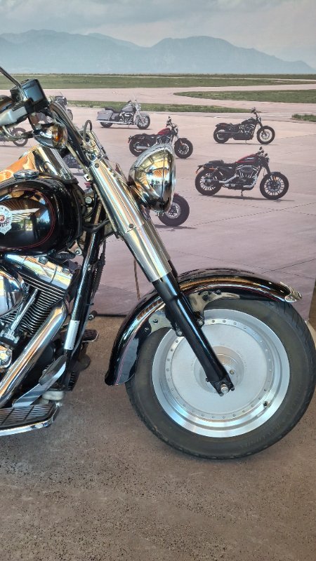 2002 Harley-davidson FLSTF FAT BOY Black