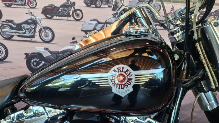2002 Harley-davidson FLSTF FAT BOY Black