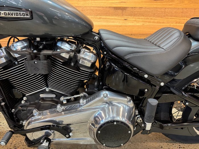 2025 Harley-davidson FXBB STREET BOB (117) IRON HORSE