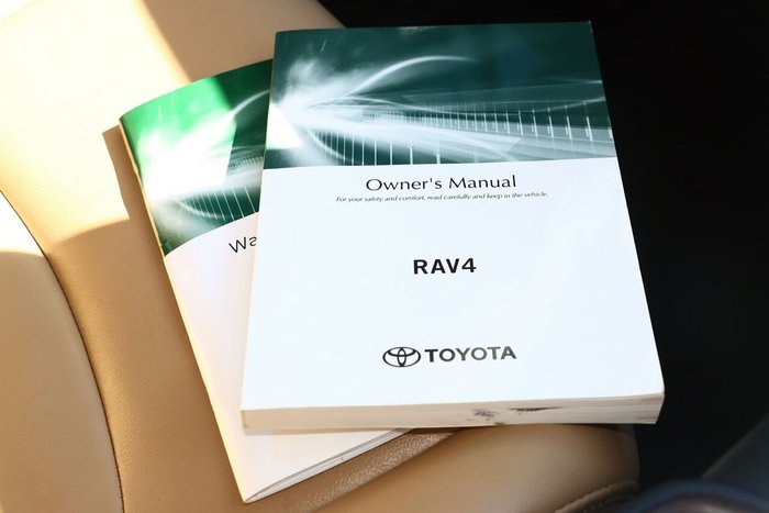 2020 Toyota RAV4 Cruiser