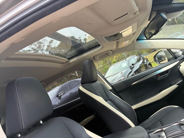 2019 Lexus NX 300h Luxury