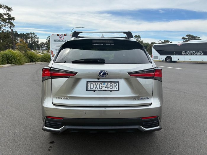 2019 Lexus NX 300h Luxury