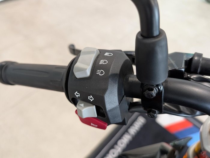 2025 BMW Motorrad G 310 R G 310 Grey