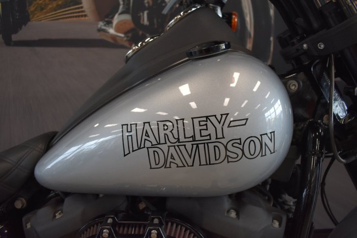 2020 Harley-davidson FXLRS LOW RIDER S (114) Barracuda Silver