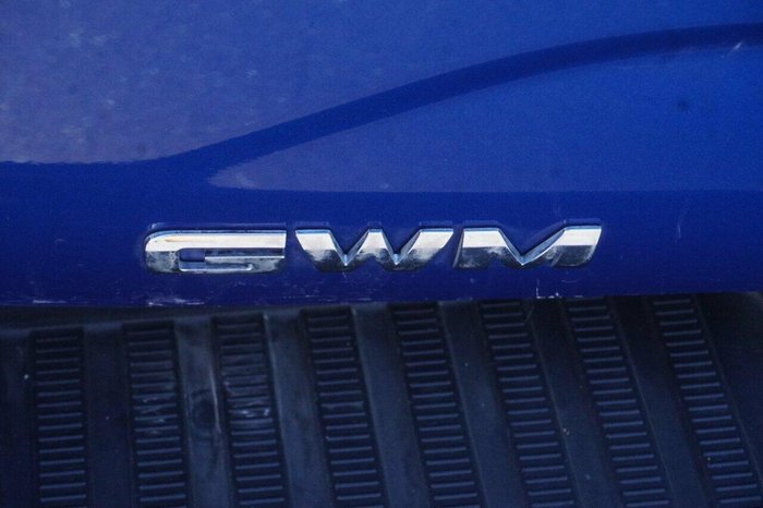 2021 GWM Ute Cannon-L