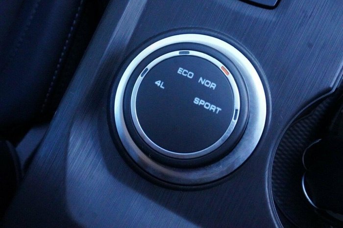 2021 GWM Ute Cannon-L